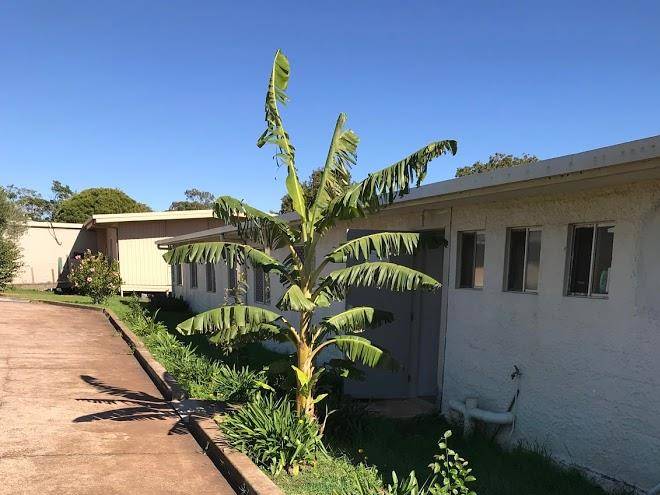 Darling heights lodge