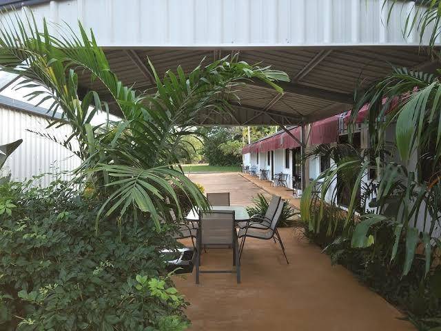 Ash palms