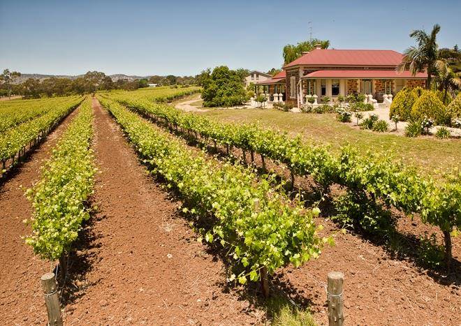 Six gates winery