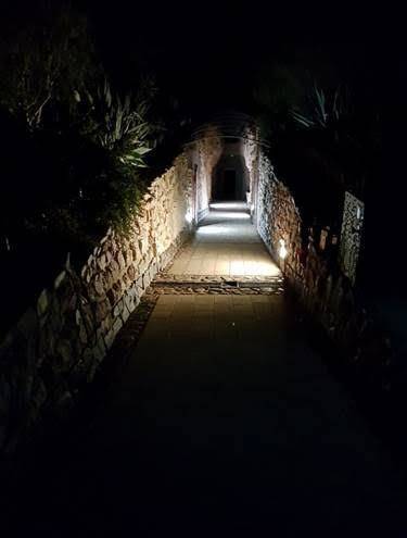 Zen underground