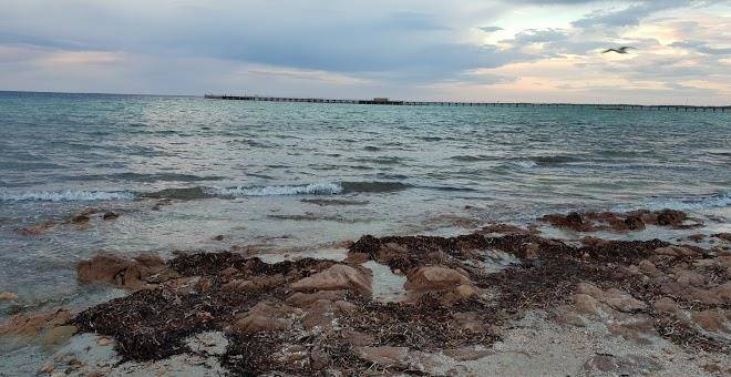 Gulf vista