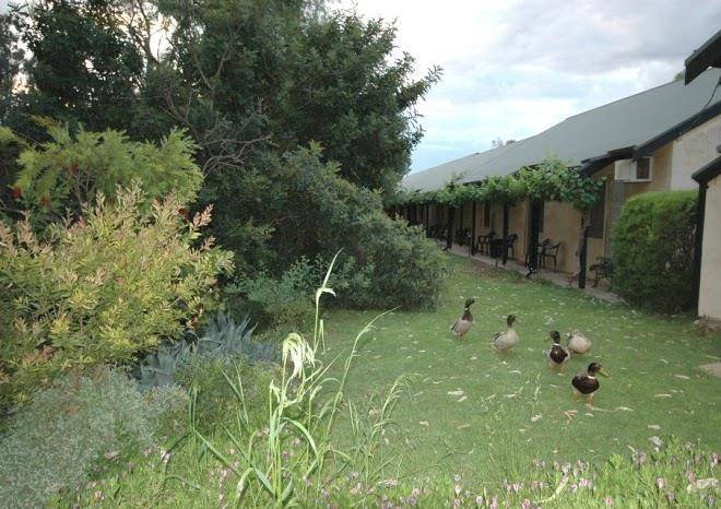 Burra motor inn and jumbucks restaurant