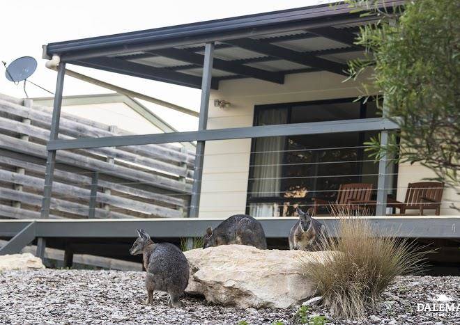 Island Dream Escape Image