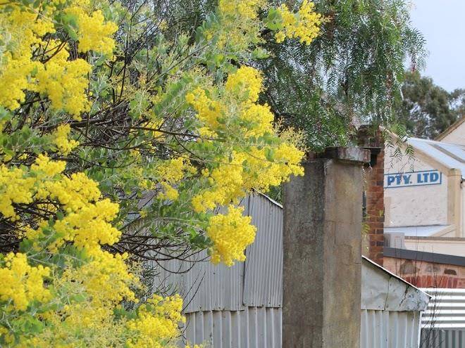 Old telegraph station b&b