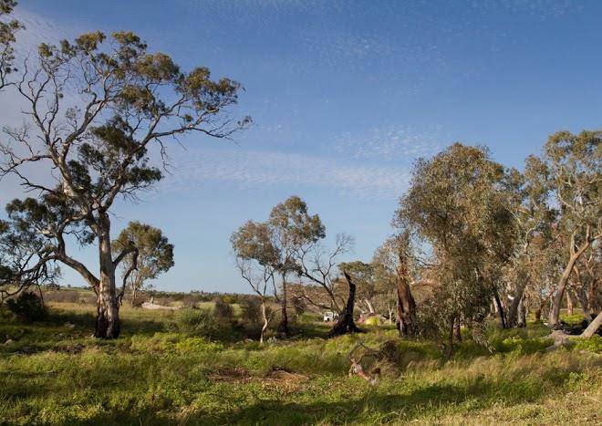 Saunders Gorge Sanctuary Image