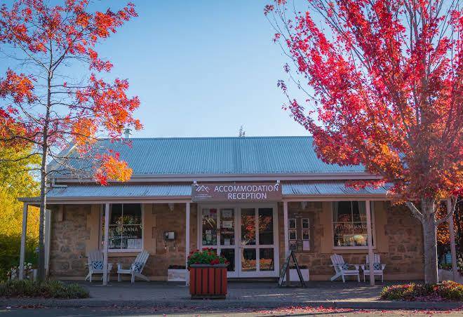 The Manna By Haus Image