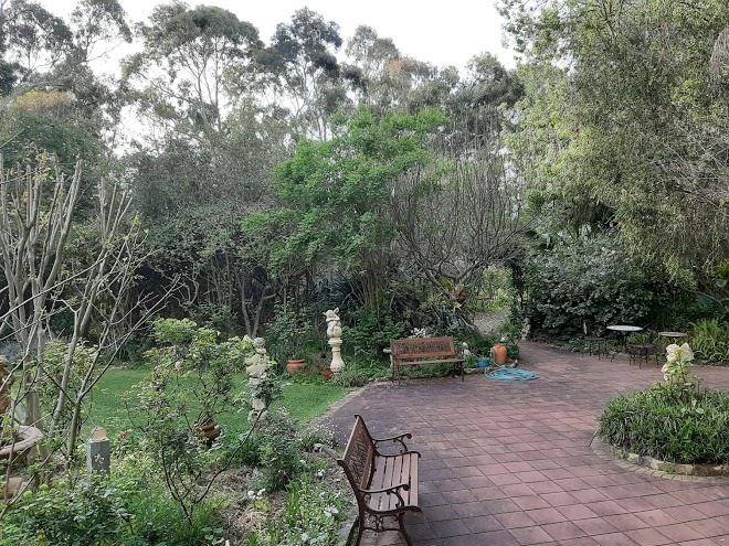 Rainforest retreat bed and breakfast murray bridge
