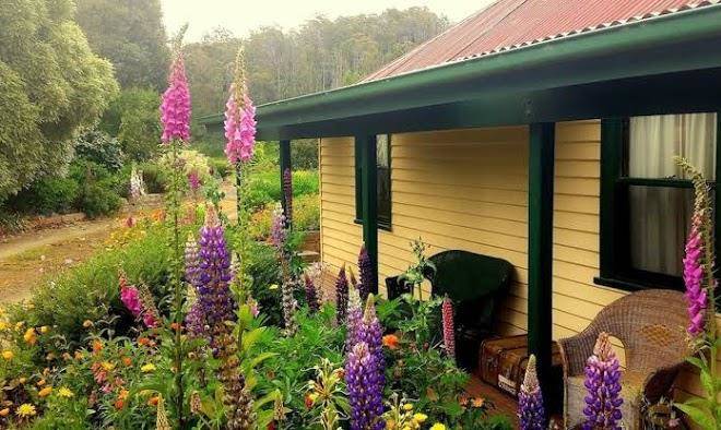 Hamlet downs country accommodation