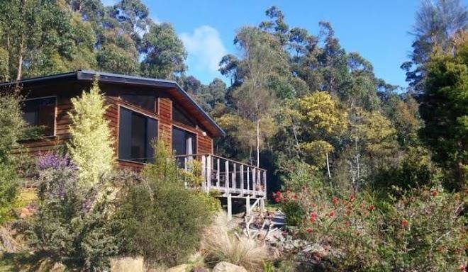 Southern forest accommodation