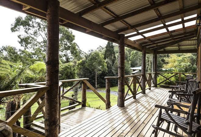 Cradle forest inn