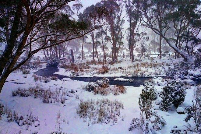 Cradle mountain love shack