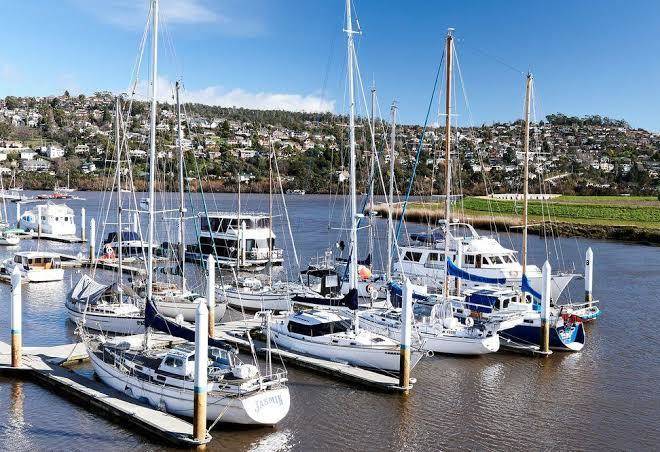 Peppers seaport launceston