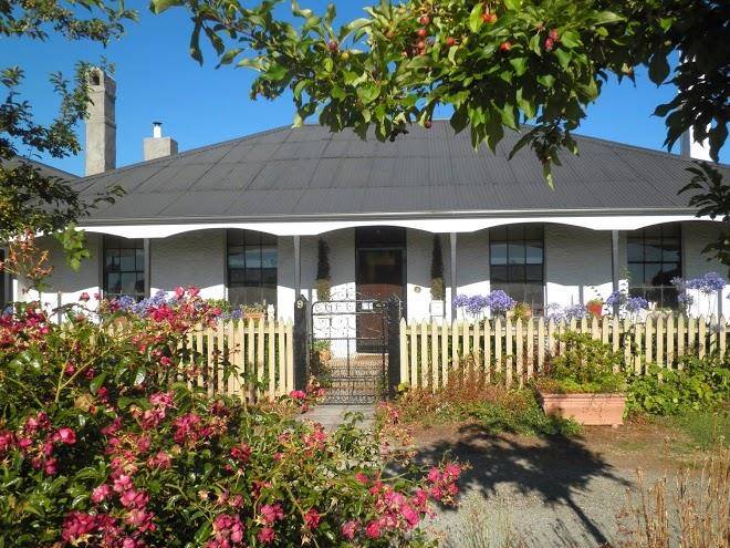 Ivy On Glenelg Image