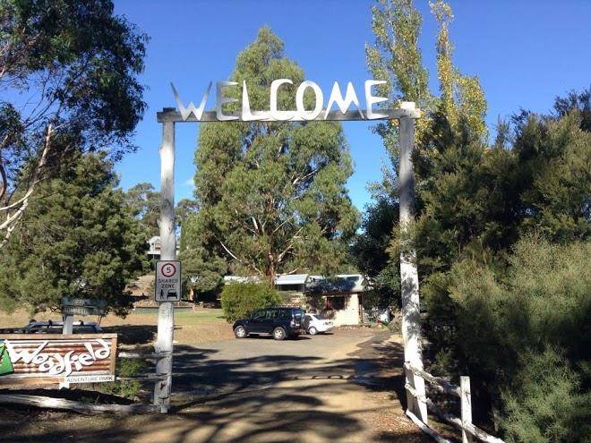 Woodfield Adventure Park Image