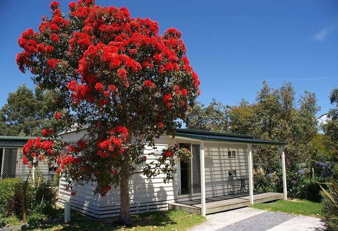 Beauty point tourist park