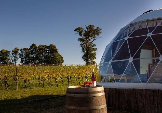 Domescapes glamping in the vines