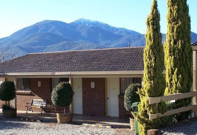 Bogong moth motel