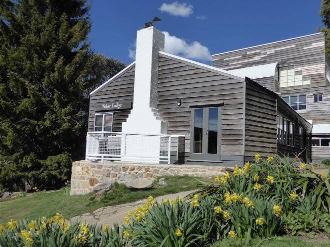 Nelse alpine lodge