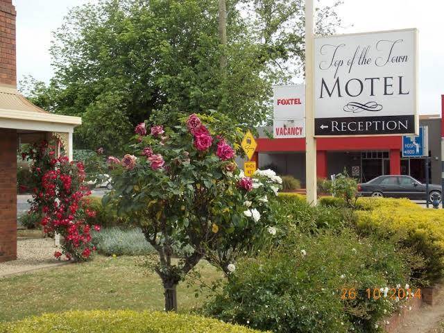 Top of the town motel