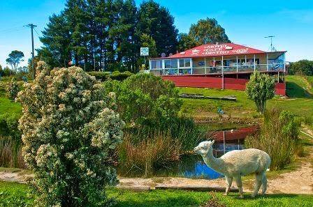 Otway junction motor inn