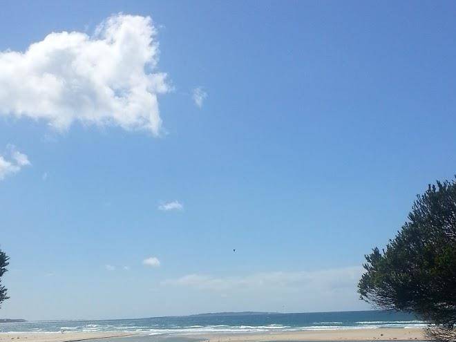 Harbour Lights Image