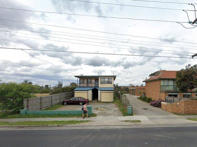 Seaford palms