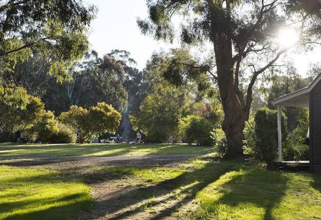 Bodhi daylesford