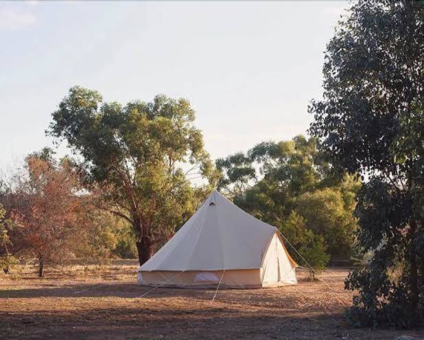Goldfield glamping