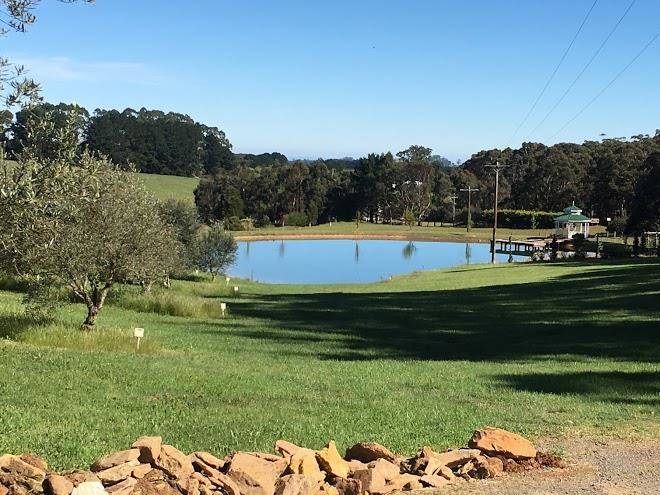 Wallaby creek olive grove daylesford