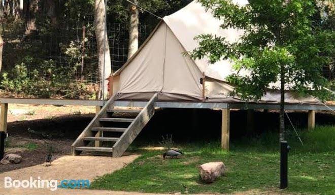 Garden beds glamping