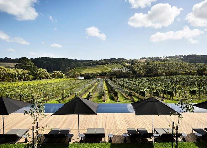 Jackalope hotel mornington peninsula