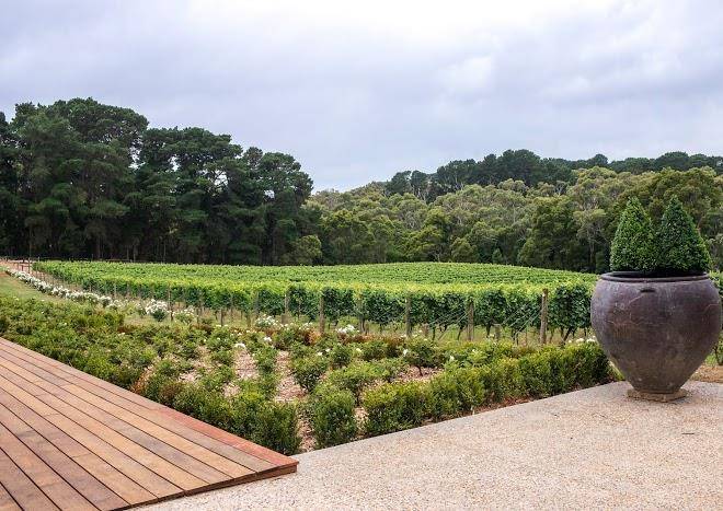 Mantons creek estate cellar door
