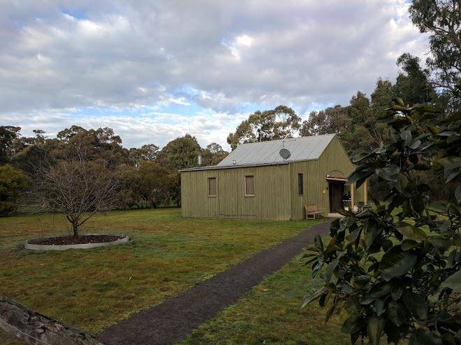 Bed and broccoli home to red box wildlife shelter