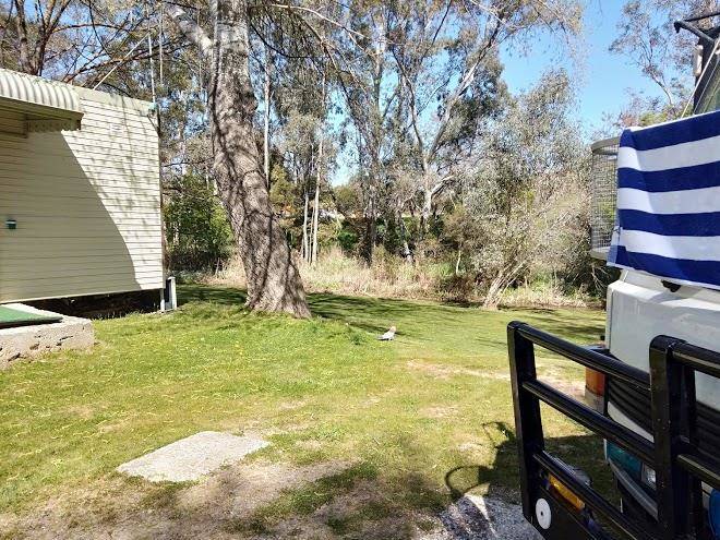 Castlemaine central cabin & van park