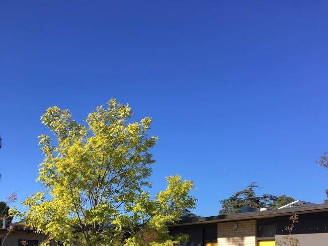 Tread Harcourt Image