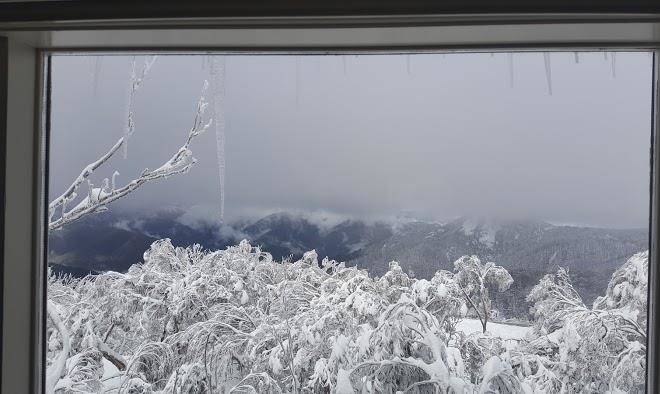 Schuss ski club mt buller