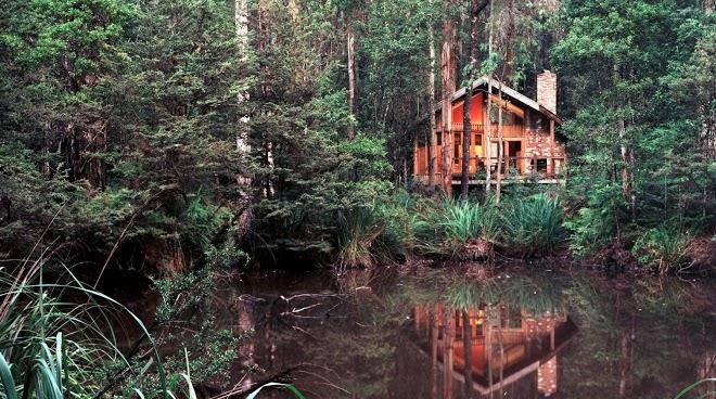Woodlands rainforest retreat