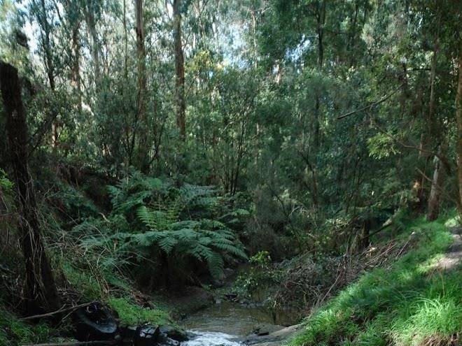 Korumburra tourist park