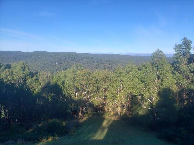 Window on the otways
