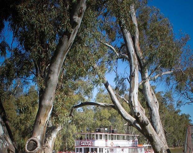 Big4 riverside swan hill