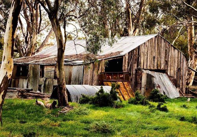 Pental Island Holiday Park Image