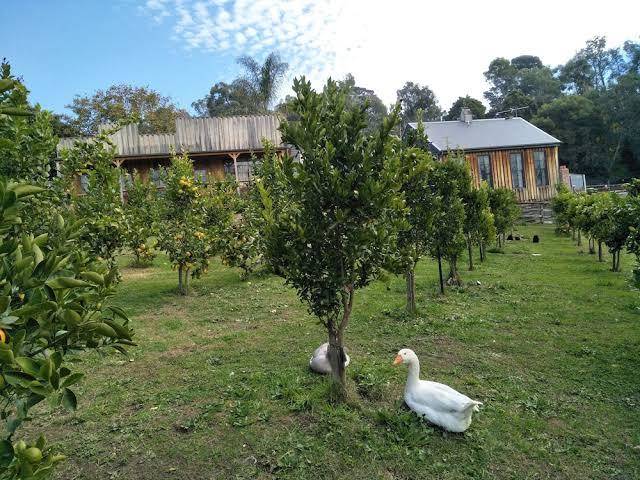 A twist of willow bed and breakfast