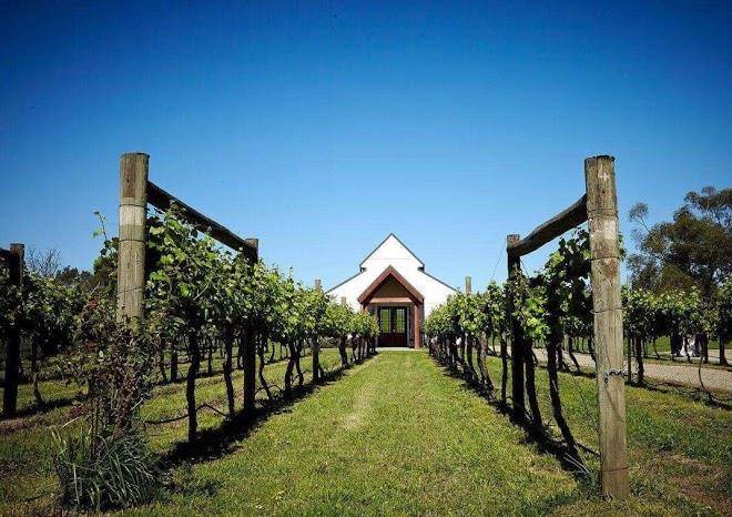 Immerse in the yarra valley