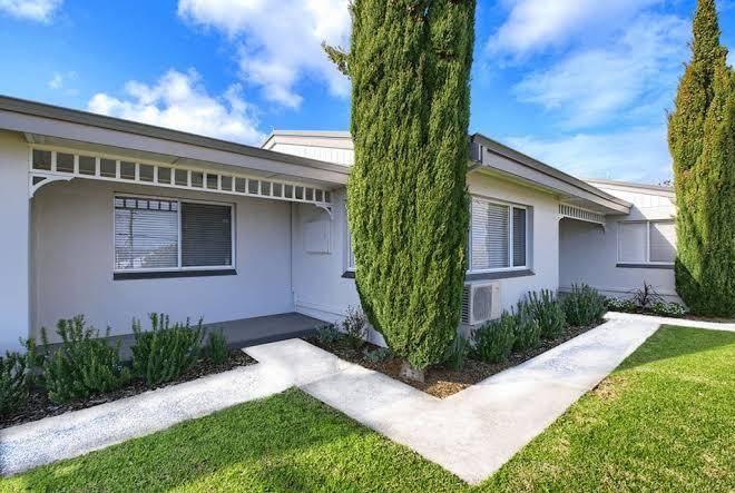 Best western albany motel & apartments