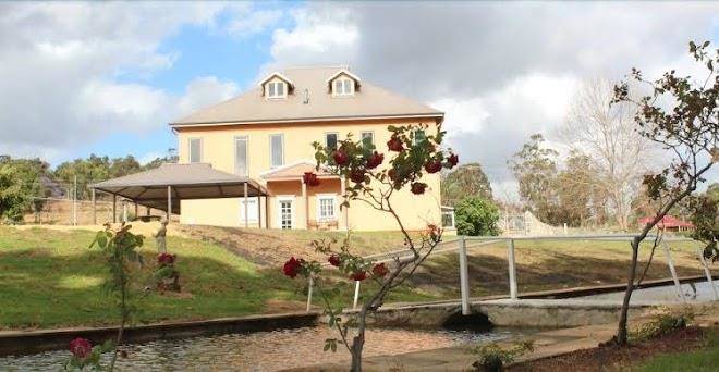 Avocados accommodation