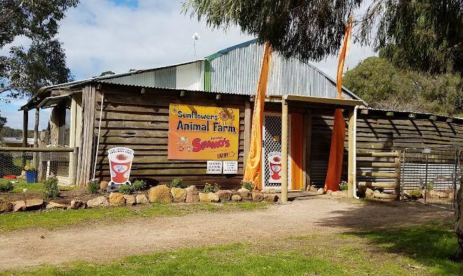 Sunflowers animal farm and farmstay