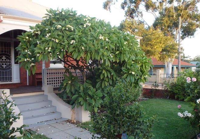 Hamptons Inn Fremantle Image