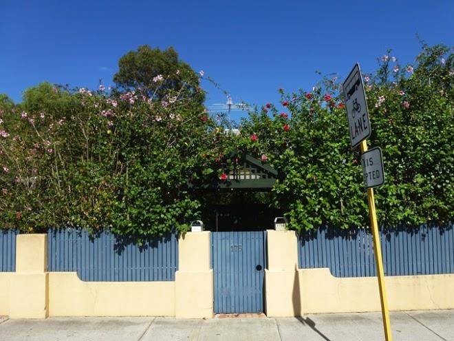 Morgano's Star Image