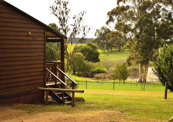 Diamond forest farm stay