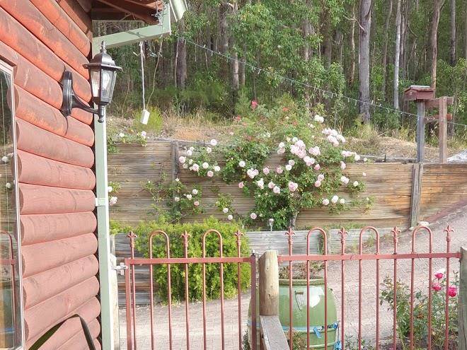 Log cabin b&b